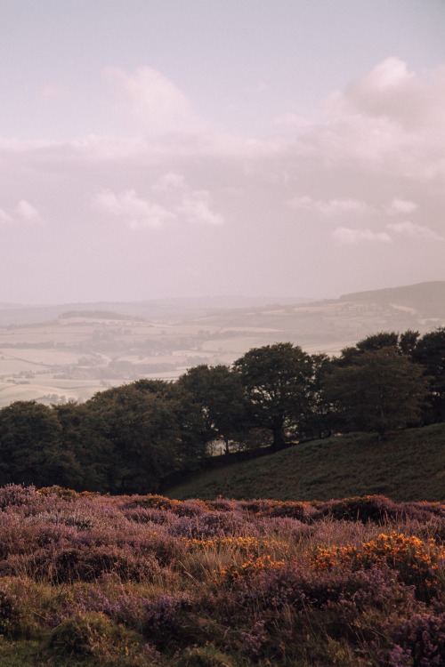 Towards the Brendon Hills, SomersetPhotographed by Freddie Ardley www.freddieardley.com