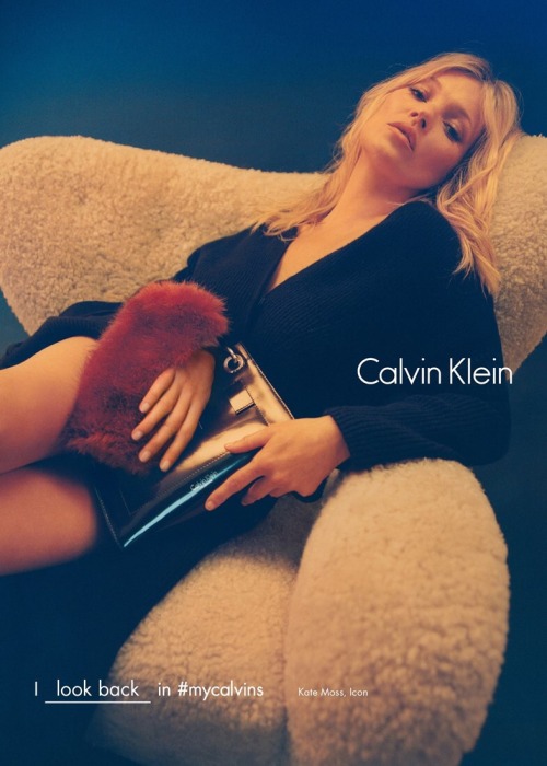 voguerunnway: calvin klein a/w 2016 campaign starring Frank Ocean, Kate Moss, Zoë Kravitz, Bell