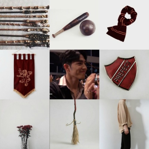 gryffindor idols - gryffindor seungcheol moodboardcheol is the gryffindor the quidditch team captain