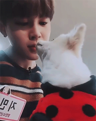 chimines:soft ♡