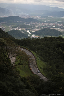 matheusmartini:  curva da onça