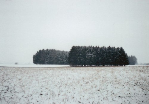 vintagepales2:  Winter by Katharina Sophia   