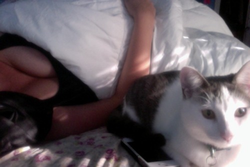 bluntsnb00bs:  kitty and titties <3  adult photos