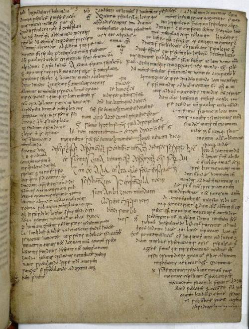 irisharchaeology: Page from a 9th century Irish manuscript known as the The Book of Armagh (TCD MS 