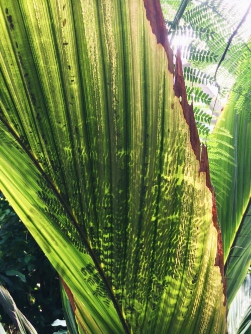 Denver Botanic Gardens