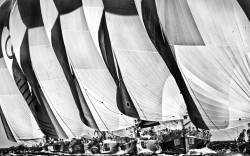 Tumblr's Largest Collection of Sailing Blogs