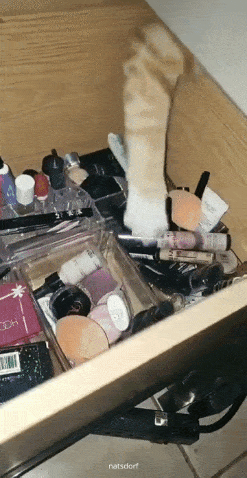 thenatsdorf:“Finally figured out why my make up goes missing” . (via xiomara_gomez18)