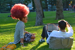 muchadoeaboutnothing:color-me-bad: the-goddamazon:  angrybabysitter:  this ponytail is everything  Goddamn and the light caught that shit just right. She’s crowned in rosy auburn clouds.  Cotton candy fro get reblogged every time  Every single time