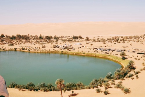 tropicale-moderne: Desert Oases Crescent Lake, Dunghuang, Gansu province, China. 月牙泉, 敦煌市, 甘肃省.