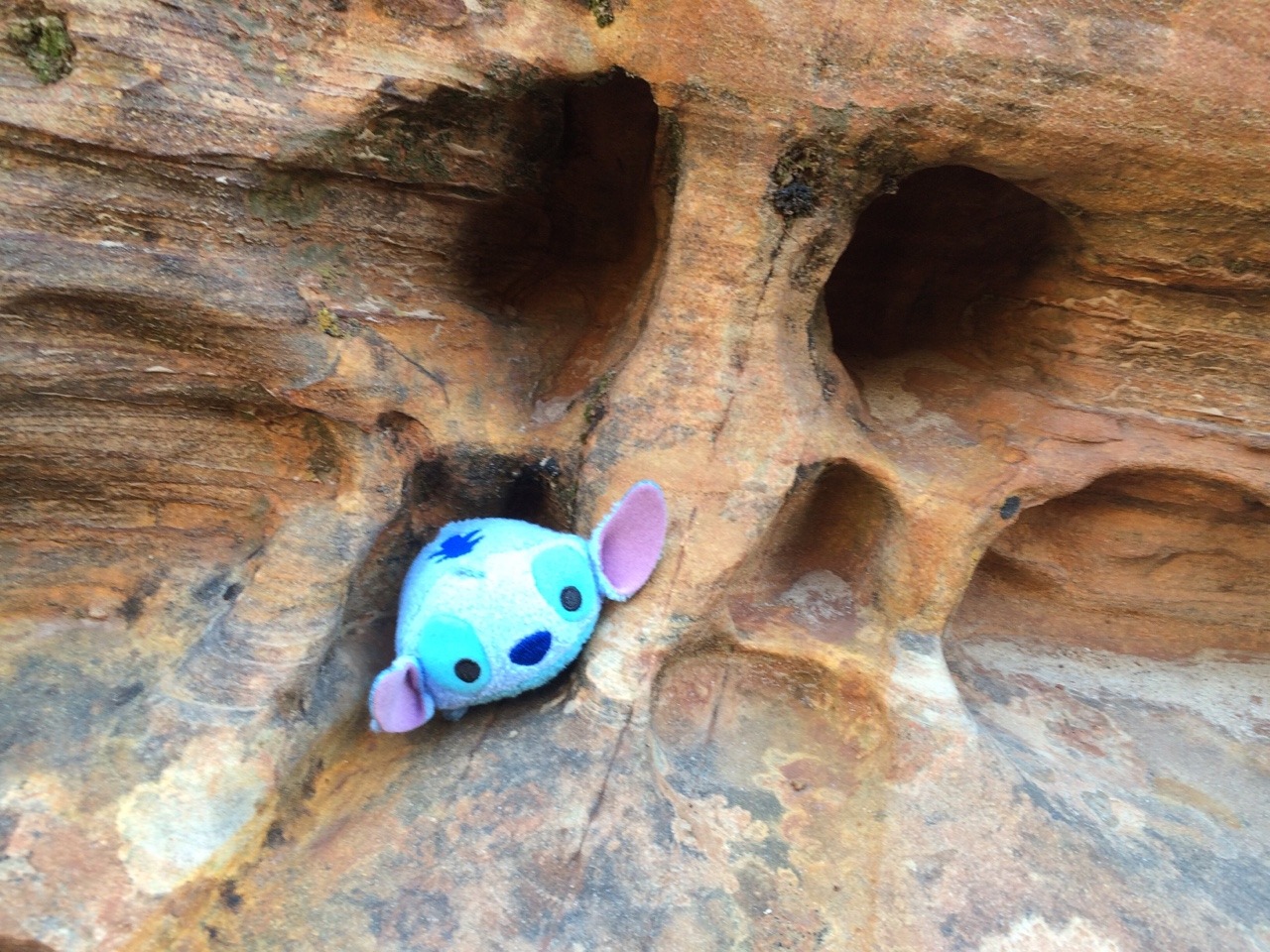 the-prodigalsun:  A long day of hikes and exploring, with even a Stitch-sized hotel!