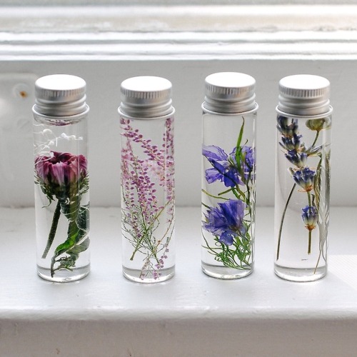 sosuperawesome:Bottled Preserved FlowersSullis Garden on EtsySee our #Etsy or #Real Flower tags