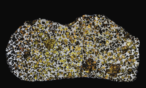 kittyconfessional:  sci-universe:  The Fukang meteorite, believed to be some 4.5 billion years old, was found near a town of the same name in China, in 2000. It is a pallasite, a type of meteorite with golden crystals of a mineral called olivine embedded