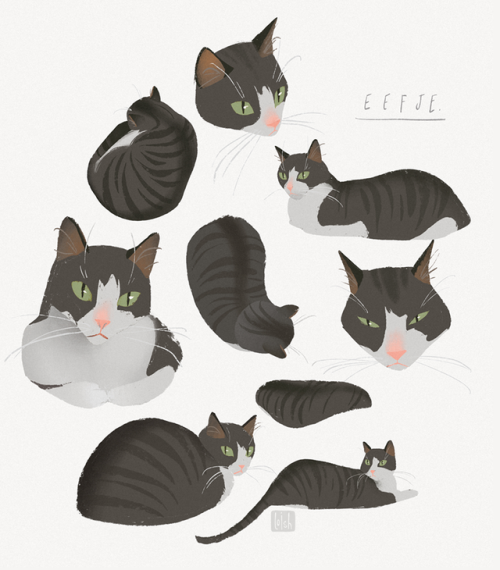 It was my sister’s birthday so I drew some portraits of her kitty!