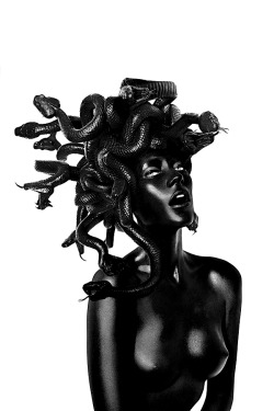 milkstudios: Dark Medusa Photo By: Damien Hirst More on our Instagram 