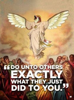 jaytargaryen:  When Bird Jesus learned Mirror