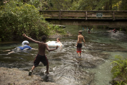 oldflorida:  Rock Springs, Kelly Park