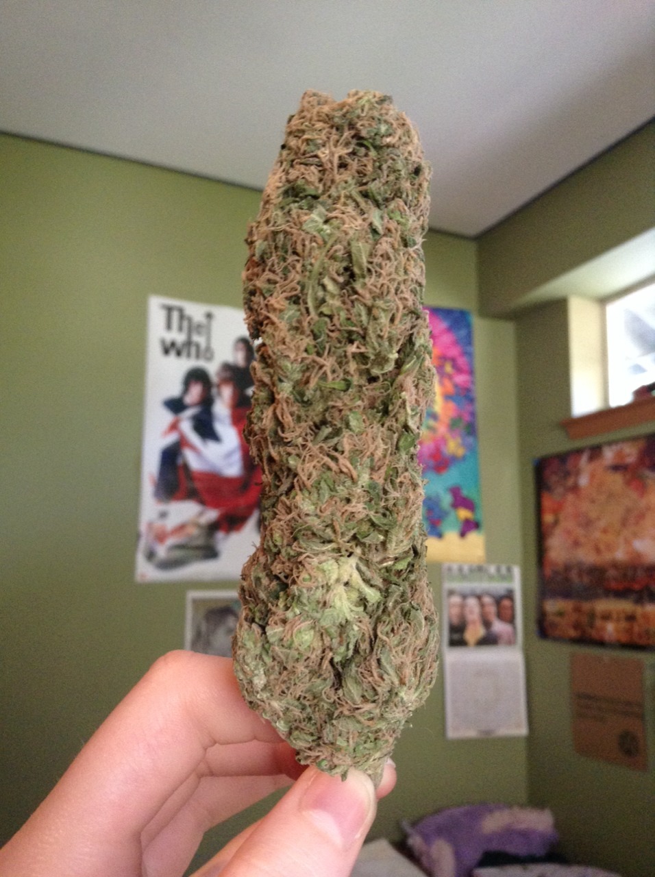 0cean-up-your-mind:  cotton candy kush (6 grams)