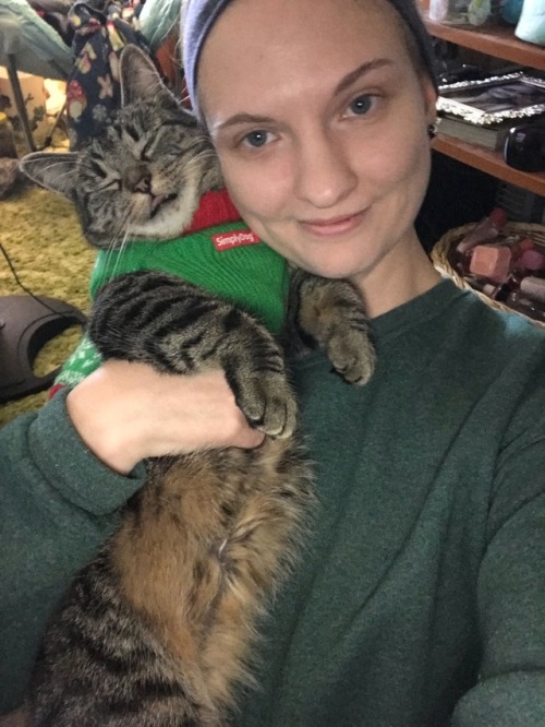 coolcatgroup:Princess Tigerbelle says Happy Holidays everyone!!! ❤️