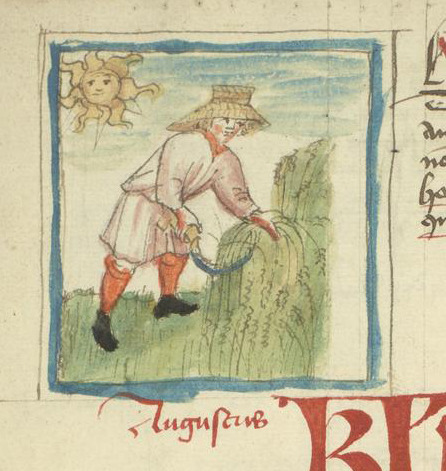 Happy August! Reaping is the Labor of the Month this month, as presented in LJS 449, a 15th century 