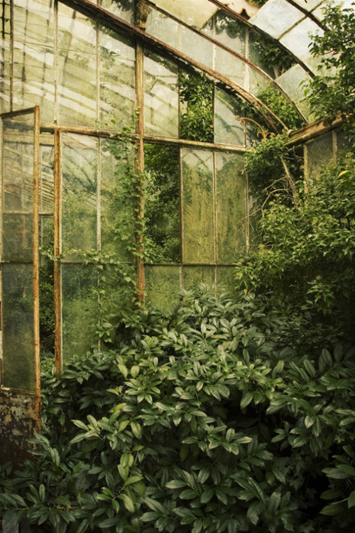 XXX steampunktendencies:  Chateau R., Greenhouse photo