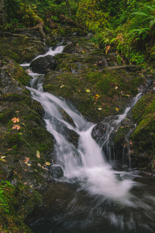 Autumn Falls