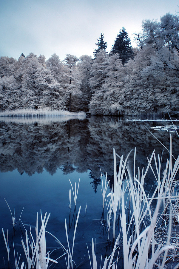holypoison:  winter in the summer by WiciaQ 
