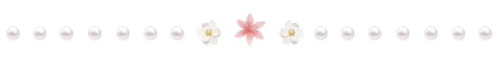 Random Dividers By Plutism .