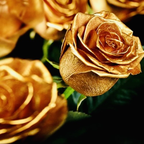 I Tell You, These Tyrells Are Only Lannisters With Flowers.