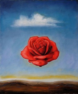 lonequixote:  Meditative Rose ~ Salvador