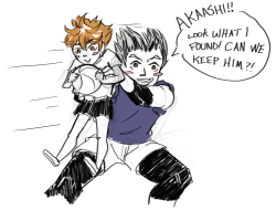 sheeperscreepers:  “Bokuto-san. Bokuto-san please don’t jostle him at me-” This is pretty much the training camp, honestly.  bonus: 