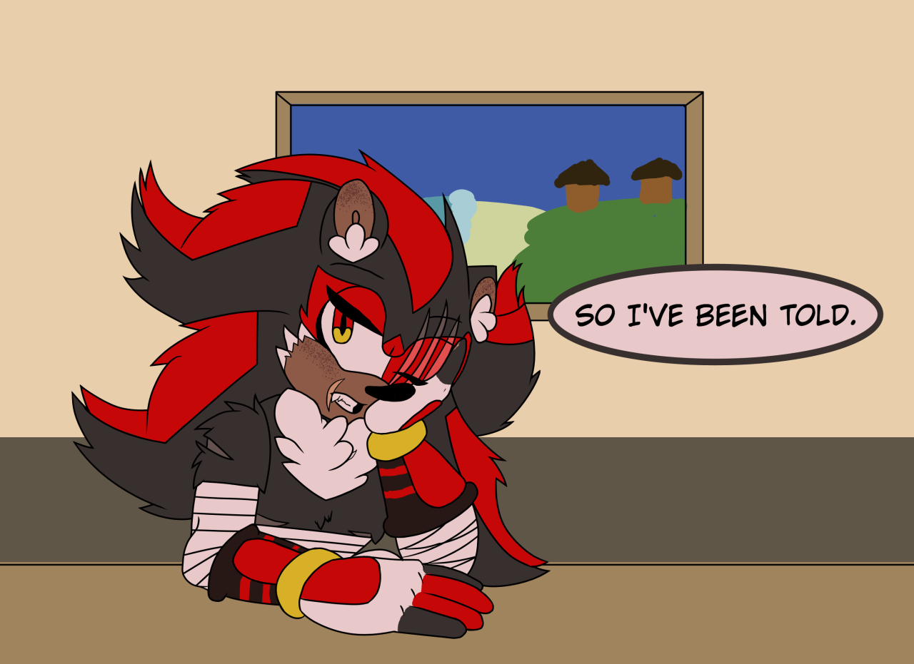 Ask-Team Sonic Boom!Shadow