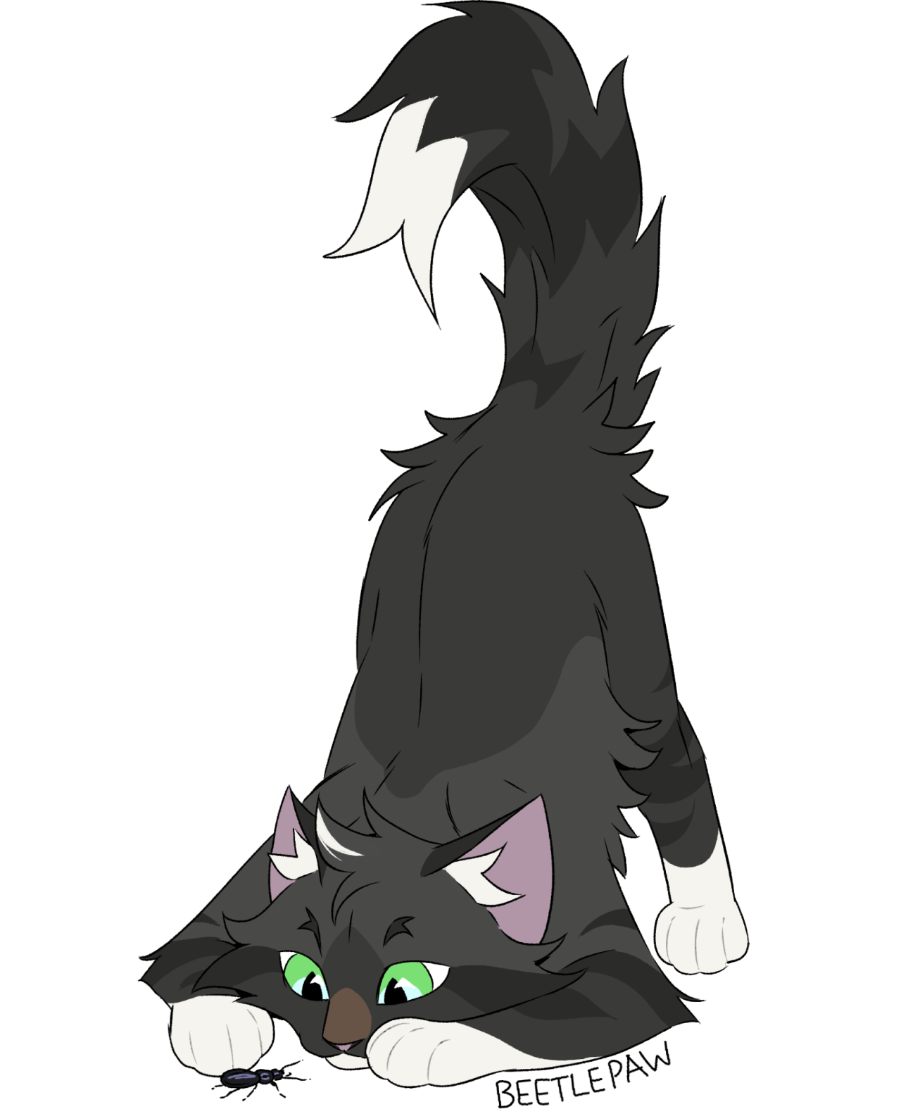 SkyClan & EarthClan, Wiki