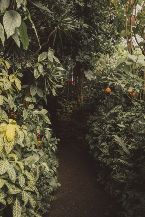 Feels in the Botanical Garden  || IG: BToneVibes