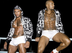    David McIntosh 