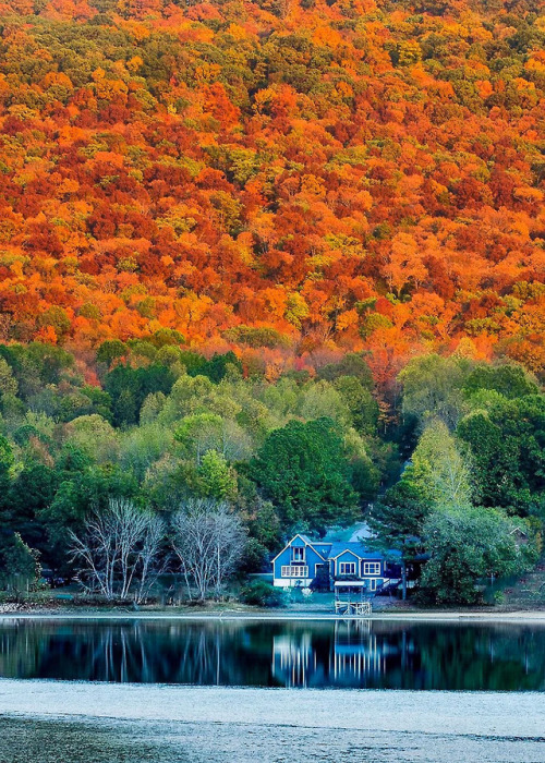 XXX coiour-my-world: Alabama autumn | Anne Strickland photo