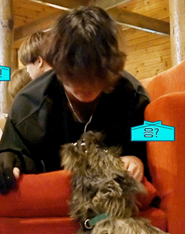 Two Puppies~