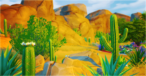 Oasis Springs, pre-Seasons