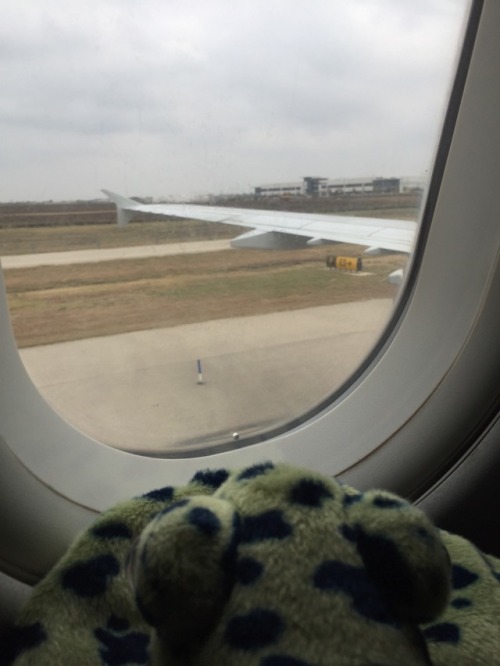 We’ve landed in Dallas! It’s hard to believe that after only five hours of flying we&rsq