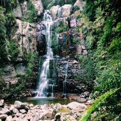 upclosefromafar:  theadventurechild:  Jungle/tropical blog  ~My Hidden Nirvana~