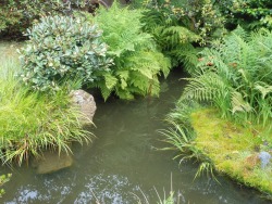 sunflowurly:  cute Japanese pond 