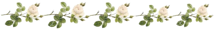 silkfaun:  Today I hope to be a little wiser And a little kinder 