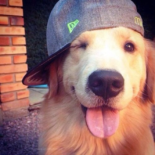 bem vindo seja, quem vier por bem.✌