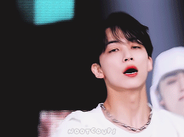 Jeonghan + Facecams