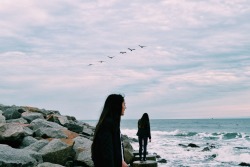 praisingthebooty:  aliensense:  allthelittlewings:  aliensense:  One of my favorite pictures from our trip, the birds completed the view  Reblogging again bc Qurli’s a fab photographer  Aw tysm wave love u   Ah yes me crying is on my dash again