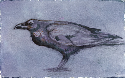 corrinaulrich:Critters painted with homemade paints