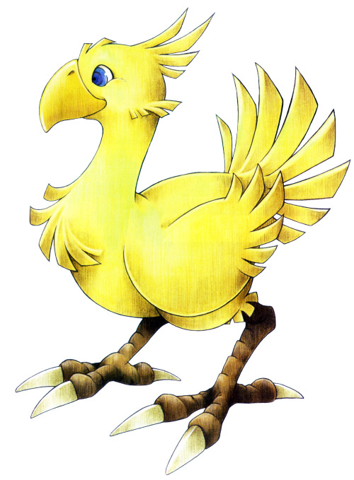 rippercase:  Chocobo Concept Art from Final Fantasy VII, Final Fantasy X, Final Fantasy XII, Final Fantasy XIII, and Final Fantasy XIV respectively.