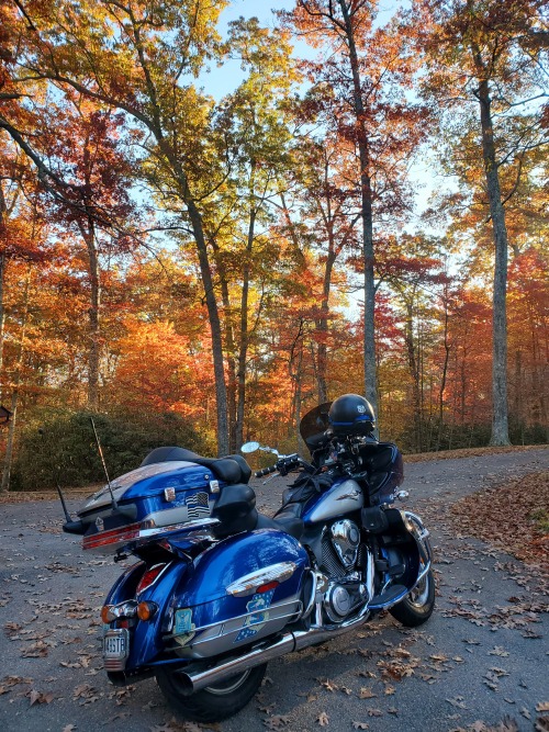 two-wheeled-therapy