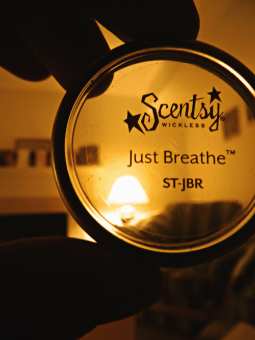 Some Good Smelling Stuff Right Here. #Scentsy #relax #fragrance #home