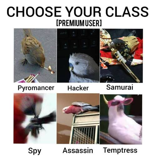 Sex jkb-whatever:CHOOSE YOUR CLASS IN THE TAGS pictures