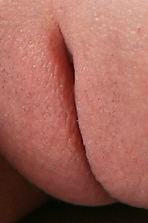 sette4sette:  Vera H - Exquisite…  1                                The pussy like you’ve never seen before is only on “sette4sette”! How to make your eyes happy in three steps: 1 - Connect to the archive of “sette4sette”;